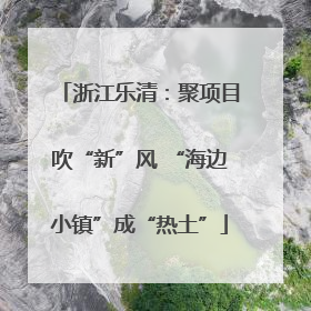 浙江乐清：聚项目吹“新”风 “海边小镇”成“热土”