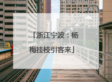 浙江宁波：杨梅挂枝引客来