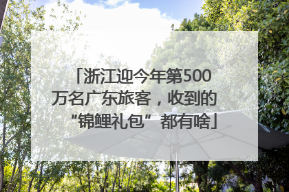 浙江迎今年第500万名广东旅客，收到的“锦鲤礼包”都有啥