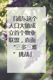 浦东这个人口大镇成立首个物业联盟，直面“三多三难”挑战