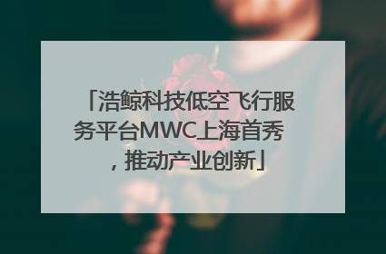 浩鲸科技低空飞行服务平台MWC上海首秀，推动产业创新