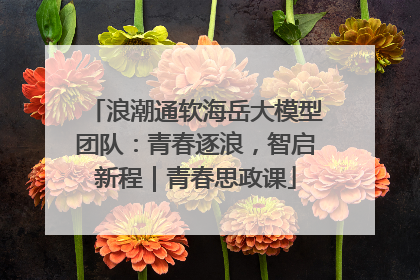 浪潮通软海岳大模型团队：青春逐浪，智启新程｜青春思政课