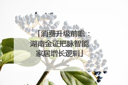 消费升级前瞻：湖南金证把脉智能家居增长逻辑