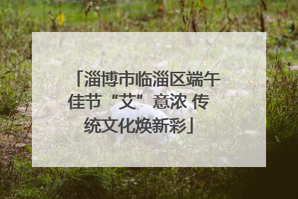 淄博市临淄区端午佳节“艾”意浓 传统文化焕新彩