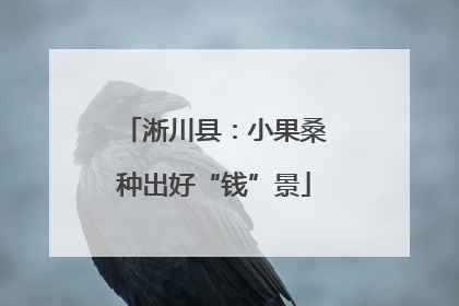 淅川县：小果桑种出好“钱”景