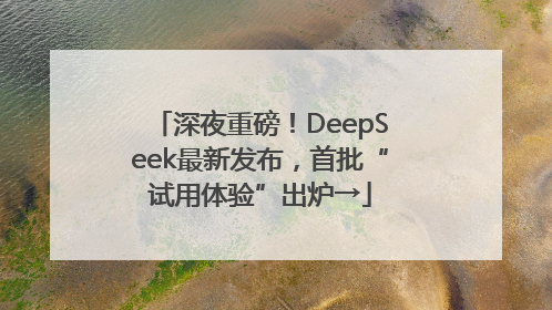 深夜重磅！DeepSeek最新发布，首批“试用体验”出炉→