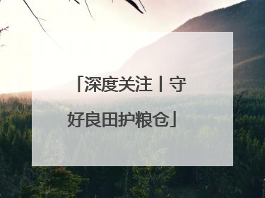 深度关注丨守好良田护粮仓