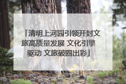 清明上河园引领开封文旅高质量发展 文化引擎驱动 文旅破圈出彩