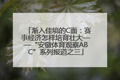渐入佳境的C面：赛事经济怎样培育壮大——“安徽体育观察ABC”系列报道之三