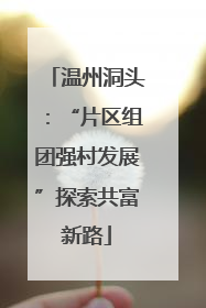 温州洞头：“片区组团强村发展”探索共富新路