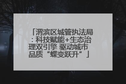 渭滨区城管执法局：科技赋能+生态治理双引擎 驱动城市品质“蝶变跃升”