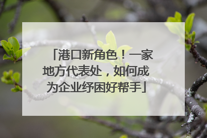 港口新角色！一家地方代表处，如何成为企业纾困好帮手