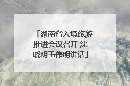 湖南省入境旅游推进会议召开 沈晓明毛伟明讲话