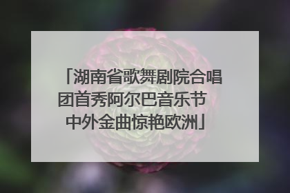 湖南省歌舞剧院合唱团首秀阿尔巴音乐节 中外金曲惊艳欧洲
