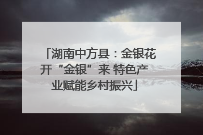 湖南中方县：金银花开“金银”来 特色产业赋能乡村振兴