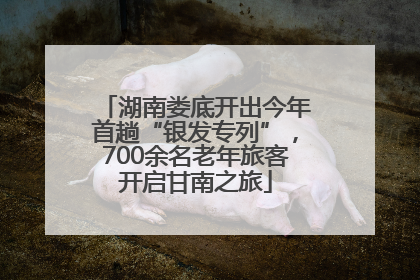 湖南娄底开出今年首趟“银发专列”，700余名老年旅客开启甘南之旅