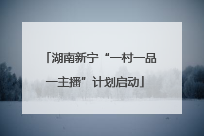 湖南新宁“一村一品一主播”计划启动