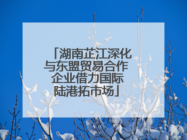湖南芷江深化与东盟贸易合作 企业借力国际陆港拓市场