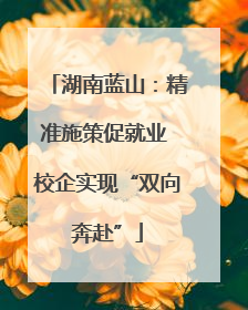 湖南蓝山：精准施策促就业 校企实现“双向奔赴”