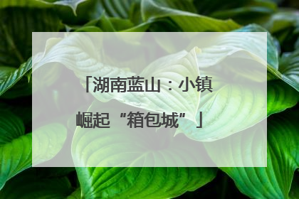 湖南蓝山：小镇崛起“箱包城”