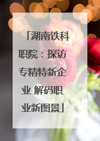湖南铁科职院：探访专精特新企业 解码职业新图景