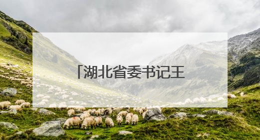 湖北省委书记王忠林会见中国电信总经理刘桂清