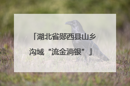 湖北省郧西县山乡沟域“流金淌银”
