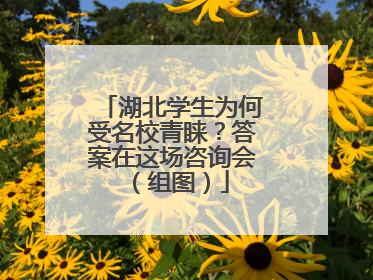 湖北学生为何受名校青睐？答案在这场咨询会（组图）