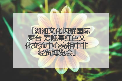 湖湘文化闪耀国际舞台 爱晚亭红色文化交流中心亮相中非经贸博览会