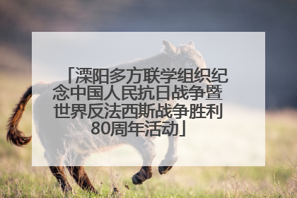 溧阳多方联学组织纪念中国人民抗日战争暨世界反法西斯战争胜利80周年活动