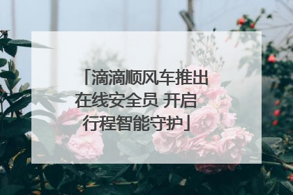 滴滴顺风车推出在线安全员 开启行程智能守护