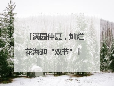 满园仲夏，灿烂花海迎“双节”
