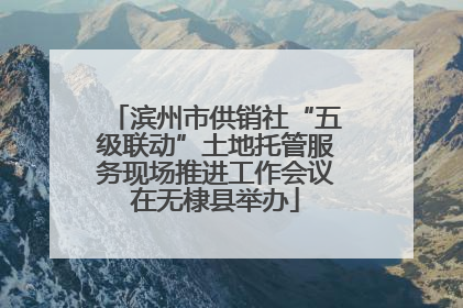 滨州市供销社“五级联动”土地托管服务现场推进工作会议在无棣县举办