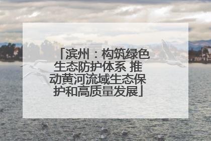 滨州：构筑绿色生态防护体系 推动黄河流域生态保护和高质量发展