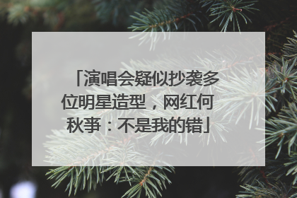 演唱会疑似抄袭多位明星造型，网红何秋亊：不是我的错