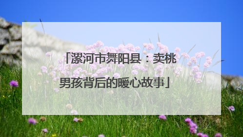 漯河市舞阳县：卖桃男孩背后的暖心故事