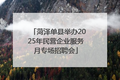 菏泽单县举办2025年民营企业服务月专场招聘会