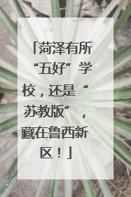 菏泽有所“五好”学校，还是“苏教版”，藏在鲁西新区！