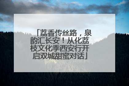 荔香传丝路，泉韵汇长安！从化荔枝文化季西安行开启双城甜蜜对话