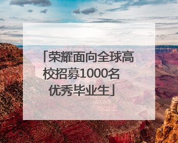 荣耀面向全球高校招募1000名优秀毕业生