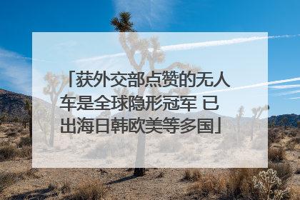 获外交部点赞的无人车是全球隐形冠军 已出海日韩欧美等多国