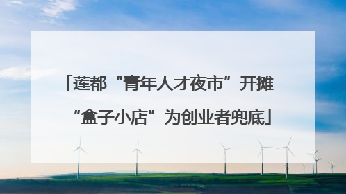 莲都“青年人才夜市”开摊 “盒子小店”为创业者兜底