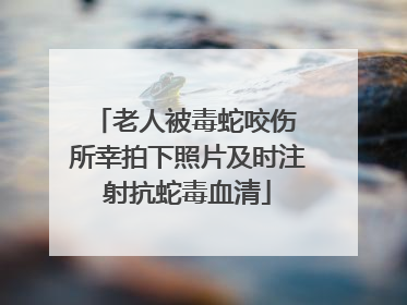 老人被毒蛇咬伤 所幸拍下照片及时注射抗蛇毒血清