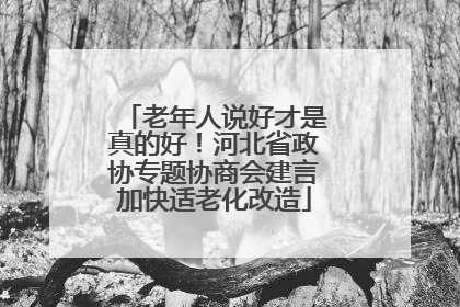 老年人说好才是真的好！河北省政协专题协商会建言加快适老化改造