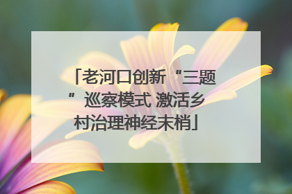 老河口创新“三题”巡察模式 激活乡村治理神经末梢