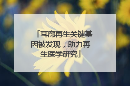 耳廓再生关键基因被发现，助力再生医学研究