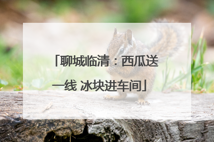 聊城临清：西瓜送一线 冰块进车间