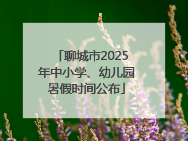 聊城市2025年中小学、幼儿园暑假时间公布