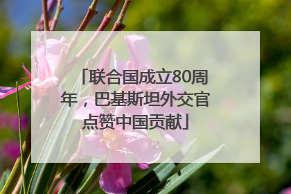 联合国成立80周年，巴基斯坦外交官点赞中国贡献