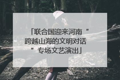 联合国迎来河南“跨越山海的文明对话”专场文艺演出